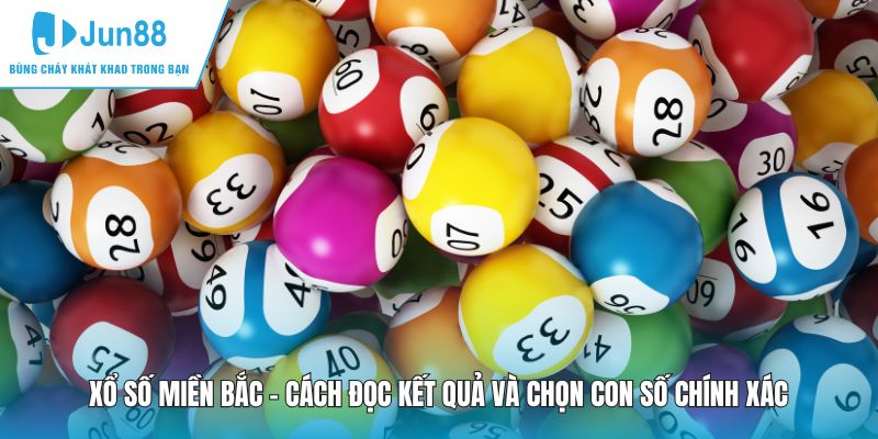 Xổ Số Miền Bắc - Cách Đọc Kết Quả Và Chọn Con Số Chính Xác